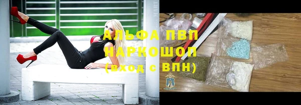 СК Алзамай