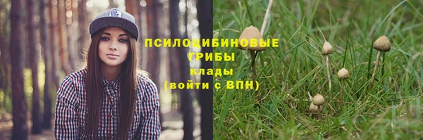 СК Алзамай
